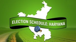 haryana assembly election 2024