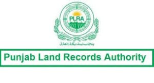 punjab land record 2024