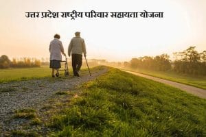 राष्ट्रीय परिवार सहायता योजना