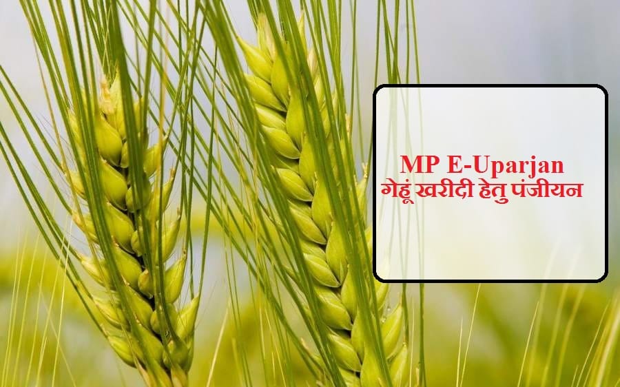 mp e-uparjan portal kisan registration