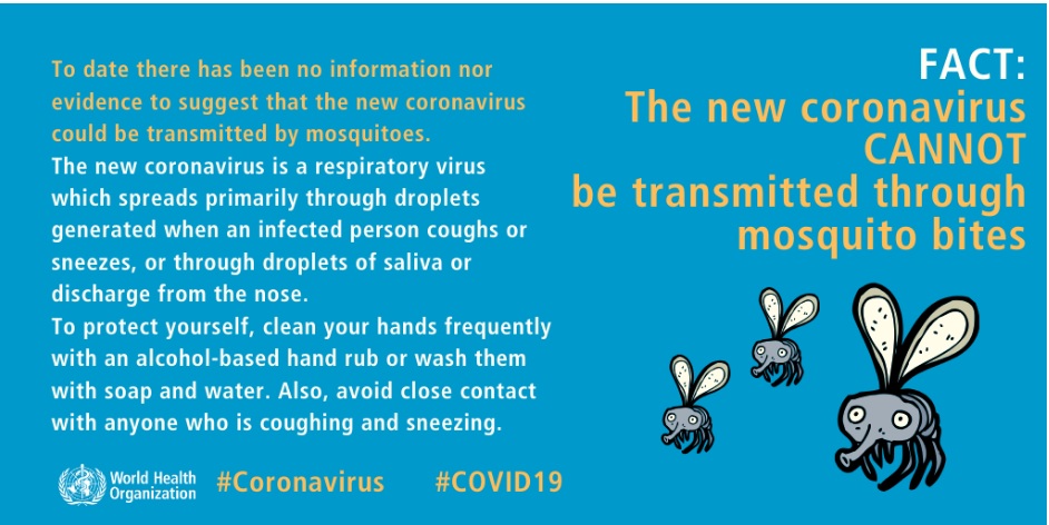 The new coronavirus can not be transmitted through mosquito bites