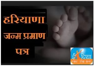haryana birth certificate apply online