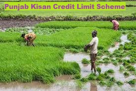 Punjab Kisan Credit Limit Scheme 2022 ਪੰਜਾਬ ਕਿਸਾਨ ਕ੍ਰੈਡਿਟ ਲਿਮਟ ਸਕੀਮ