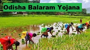 odisha balaram scheme 2024 online registration