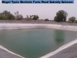 magel tyala shettale farm pond subsidy scheme