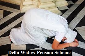 delhi widow pension scheme apply online