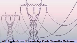 ap agriculture electricity cash transfer scheme
