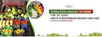 operation green scheme