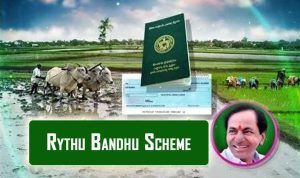 telangana rythu bandhu scheme 2022 apply online