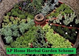 ap home herbal garden scheme 2024