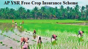 ap ysr free crop insurance scheme