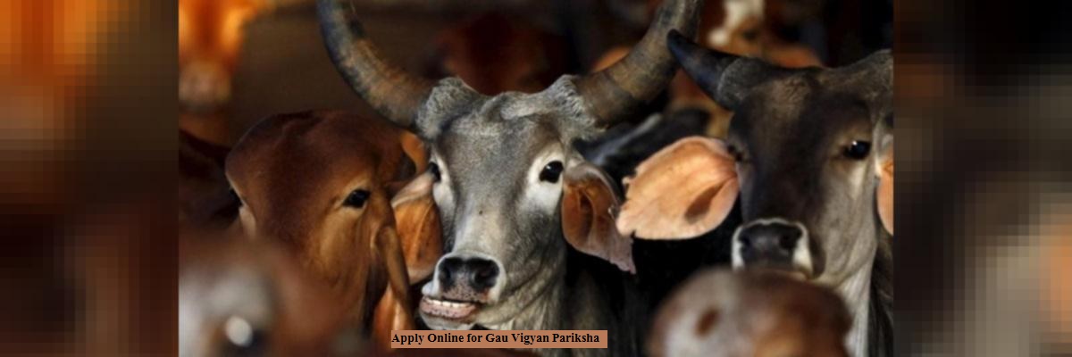 apply online for gau vigyan pariksha
