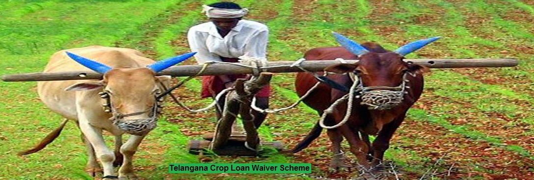 telangana crop loan waiver scheme