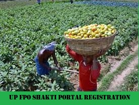 up fpo shakti portal 2024 registration