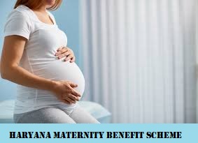 haryana maternity benefit scheme