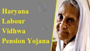 haryana labour vidhwa pension yojana