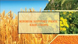 rabi crops msp 2021-22
