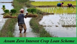 assam zero interest crop loan scheme 2024