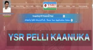 ap ysr pelli kanuka scheme 2021 apply online