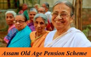 assam old age pension scheme 2024 registration form