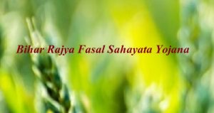 bihar rajya fasal sahayata yojana 2024 online application