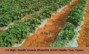 cg rajiv gandhi gramin bhoomihin krishi majdoor nyay yojana 2021