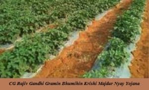 cg rajiv gandhi gramin bhoomihin krishi majdoor nyay yojana 2024