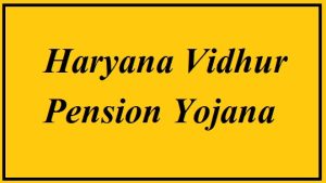 haryana vidhur pension yojana 2024