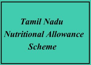 tamil nadu nutritional allowance scheme 2024