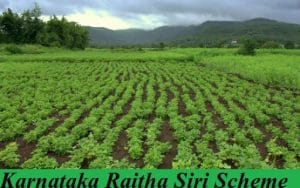 karnataka raitha siri scheme 2022