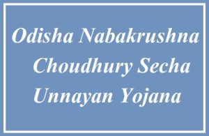 odisha nabakrushna choudhury secha unnayan yojana 2024