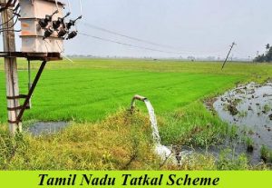 tamil nadu tatkal scheme 2024 application form