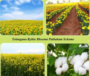 telangana rythu bheema pathakam scheme 2022 apply online