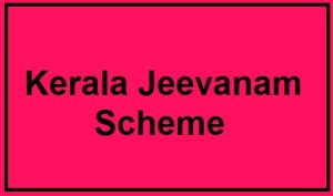 kerala jeevanam scheme 2024 application form