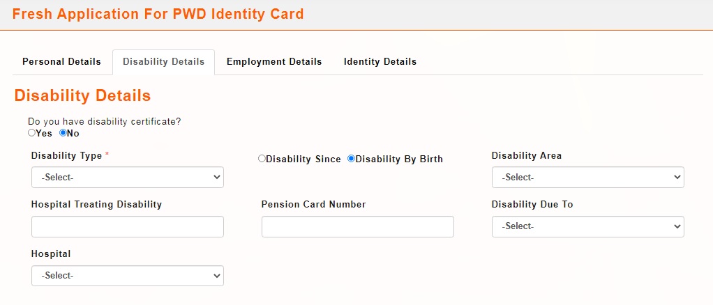 application form disability details