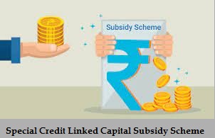 special credit linked capital subsidy scheme