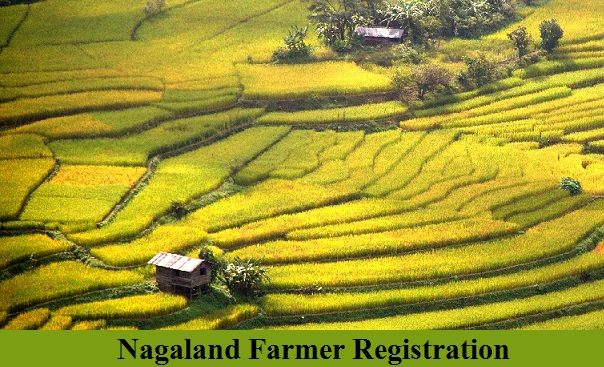 nagaland farmer registration