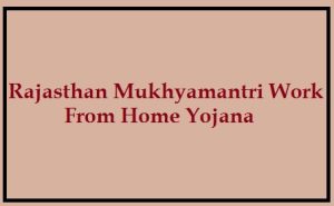 rajasthan mukhyamantri work from home yojana 2024