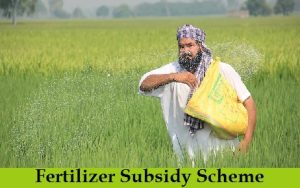 fertilizer subsidy scheme 2024