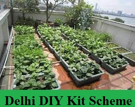 delhi diy kit scheme