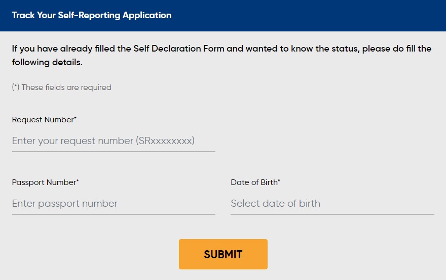 Track Your Self-Reporting Application