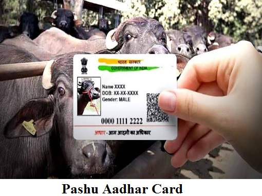 pashu aadhar card