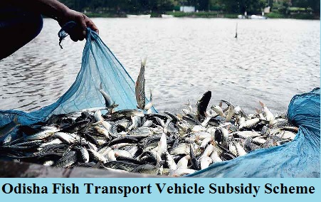 odisha fish transport vehicle subsidy scheme