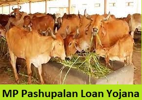 mp pashupalan loan yojana apply online
