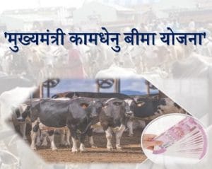 rajasthan mukhyamantri kamdhenu bima yojana 2024