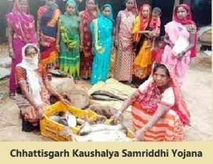 chhattisgarh kaushalya samriddhi yojana 2024