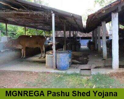 mgnrega pashu shed scheme