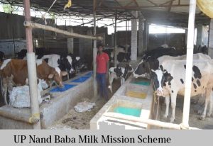 up nand baba milk mission scheme 2023